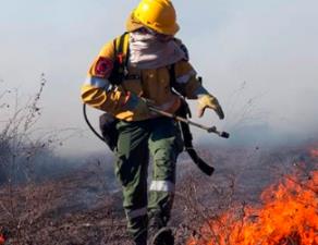 阿根廷近半省份发生大规模山火 过火面积超12万公顷
